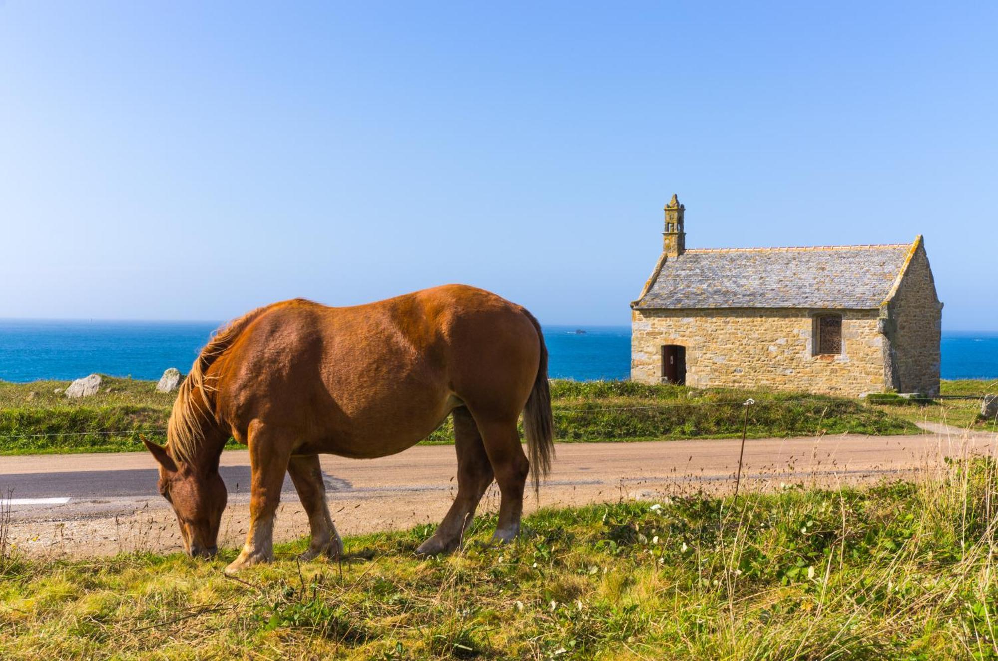Ty Mor Bras - Maison Familiale A 2 Pas De La Plage Portsall エクステリア 写真